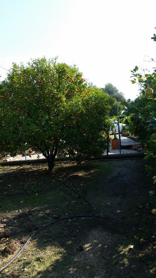 Villa Asbn Magic Garden Akkon Exterior foto