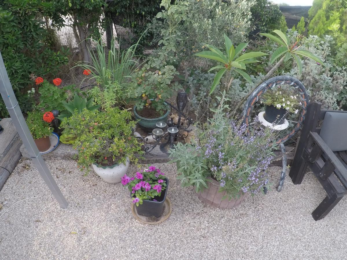 Villa Asbn Magic Garden Akkon Exterior foto